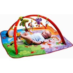 baby gym gymini move&play