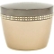 Ceramide Premiere Overnight Regeneration Cream 50 Ml