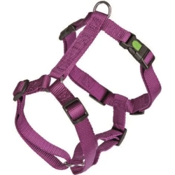 Harness Miami Color Violet Size  55-76 Cm