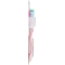 toothbrush max white medium