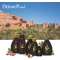 liquid soap argan oil  1lt