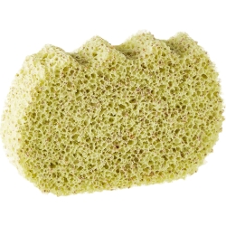 Bambu' Scented & Scrub Sponge