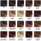 Shine On Trattamento Colorante Capelli Castano Dorato 4.3
