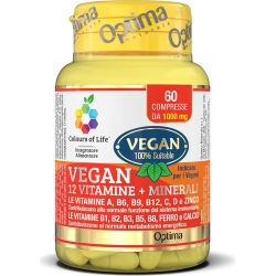 12 vitamins + minerals vegan dietary supplement - 60 tablets