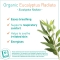 Eucalyptus Essential Oil 10 ml