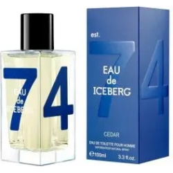 Eau de Iceberg Cedar - eau de toilette for men spray 100 ml
