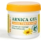 Dr Theiss Arnica Gel Rapida