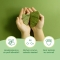 hands soap green tea 500 ml
