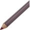 color icon - Lip Pencil e664c fab fuschia