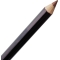 color icon - Lip Pencil e666 brandy wine