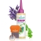 Puressentiel Anti-Lice Treatment Lotion and Comb 100 ml