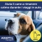 adaptil - spray solution for rooms - 60ml veterinary use