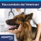 adaptil - pheromones diffuser for dogs + refill 48 ml
