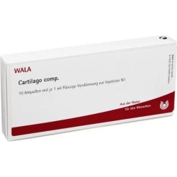 Cartilago Compositum 10 fiale da 1 ml