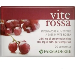 Red vine - dietary supplement with polyphenols 30 tablets