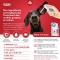Peptivet Oto - Otological Gel for Dogs and Cats - 25 ml