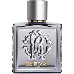 silver essence - eau de toilette For men spray 100 ml