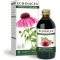 Echinacea - Food Supplement Echinacea Integral Extract - 200 ml