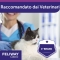 Feliway recharge for diffuser 48 ml