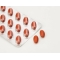 promensil forte food Supplement 30 tablets