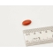 promensil forte food Supplement 30 tablets