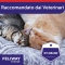 Feliway Friends-diffuser for conflicts between cats+ref.48ml