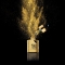 Gold Infusion - Youth potion - serum 30 ml