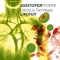 Kentofer Forte - food supplement 20 tablets