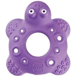 Teether Friend Bob the Turtle 5m+