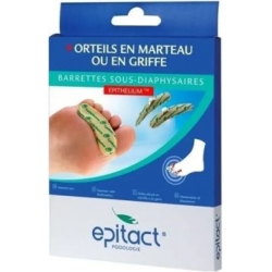 Strips under Diaphyseal Epithelium woman