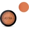 Bronze Skin Powder  - compact bronzer 04 Rust