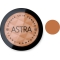 Bronze Skin Powder  - compact bronzer 04 Rust