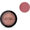 Bronze Skin Powder  - compact bronzer 10 Cacao