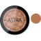 Bronze Skin Powder  - compact bronzer 10 Cacao