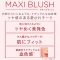 Maxi blush - powder blush 9 g - n.006 exposed