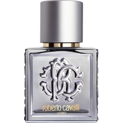 silver essence - eau de toilette For men spray 40 ml