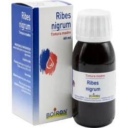 Ribes Nigrum TM 60 ml