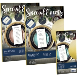 Special Events - 10 metallic envelops 120 g 110 x 220 mm