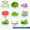Aloe - Triple Action Mint Flavored Mouthwash 500 ml