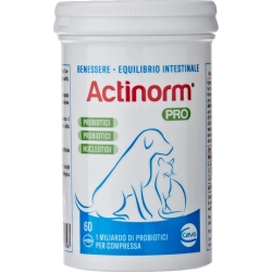 Actinorm Pro - supplement intestinal health 60 tablets