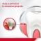 Complete Protection Original - Healthy Teeth & Gums Toothpaste 75 Ml