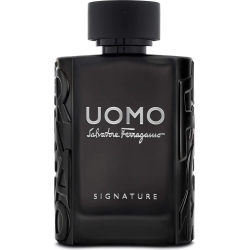 Uomo Signature eau de parfum spray 100 ml
