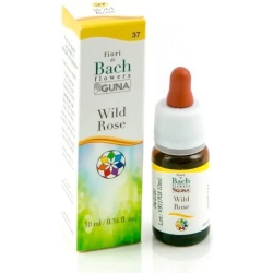 Bach Flower 37 wild rose drops 10 ml