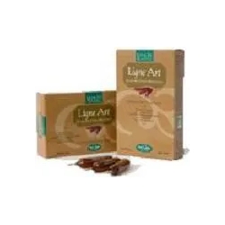 ligne art bio - 20 ampoules 15 ml