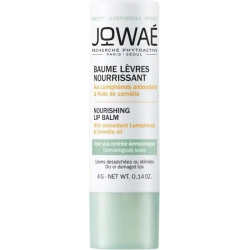 Nourishing Lip Balm 4g