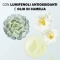 Nourishing Lip Balm 4g