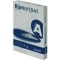 Rismacqua  A4 coloured cardboard ice colour - 125 sheets