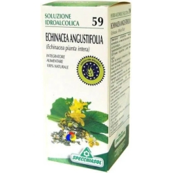 Echinacea 59 mother tincture 50 ml - immune system support