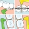Interdental brush angle 0.6mm - pack of 6 brushes
