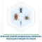 Max - Insecticide Cockroaches and Ants Eucalyptus Aroma 400 ml